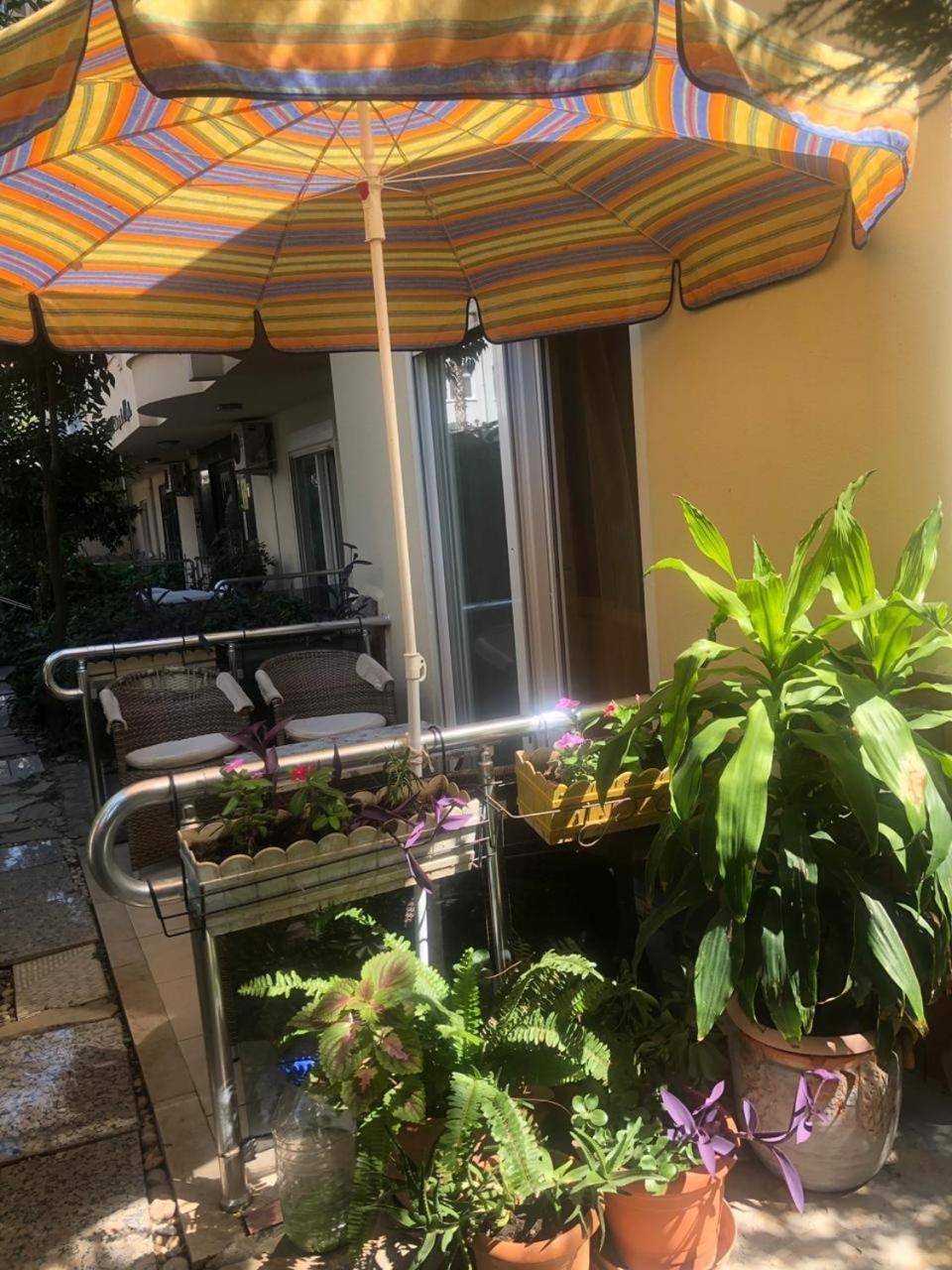 Emniyet Sokak Apartment 阿拉尼亚 外观 照片